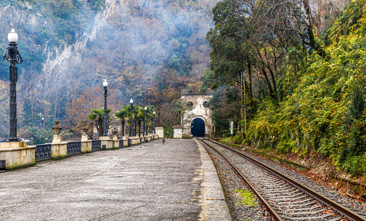 Собаки - Eugene * Собаки - Eugene *