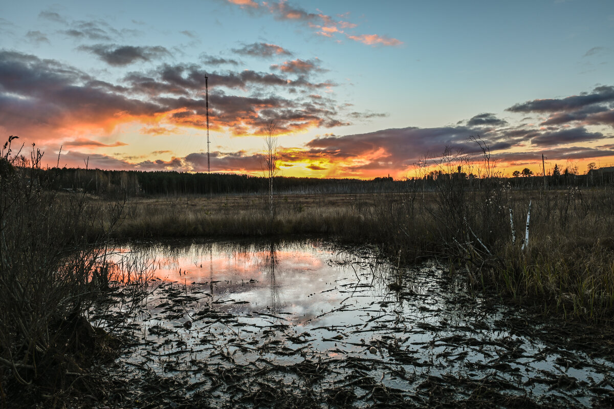 полыхнуло к заморозку - сергей 
