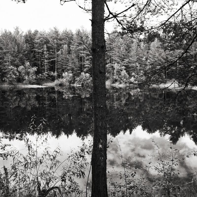 Фотография - Денис Безногов