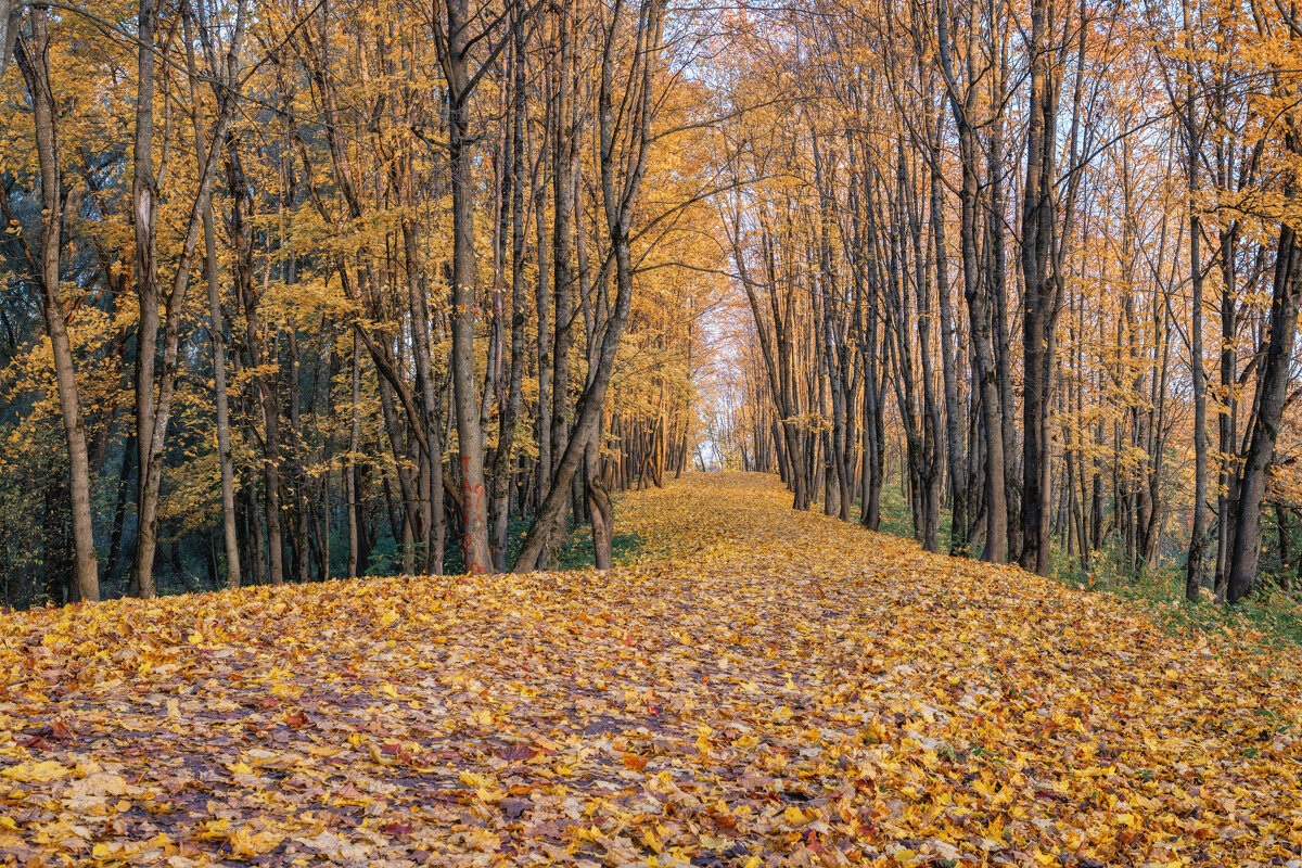 Про Питер - Владимир Колесников