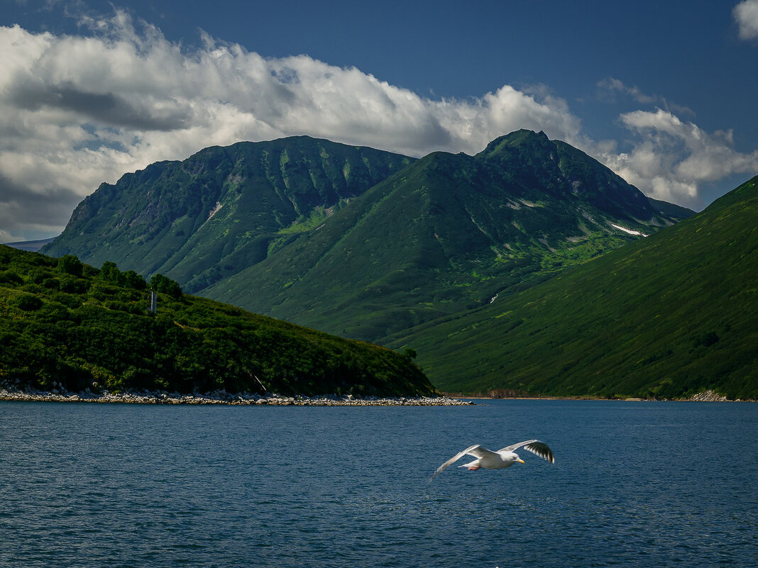 ... - Жора Житников