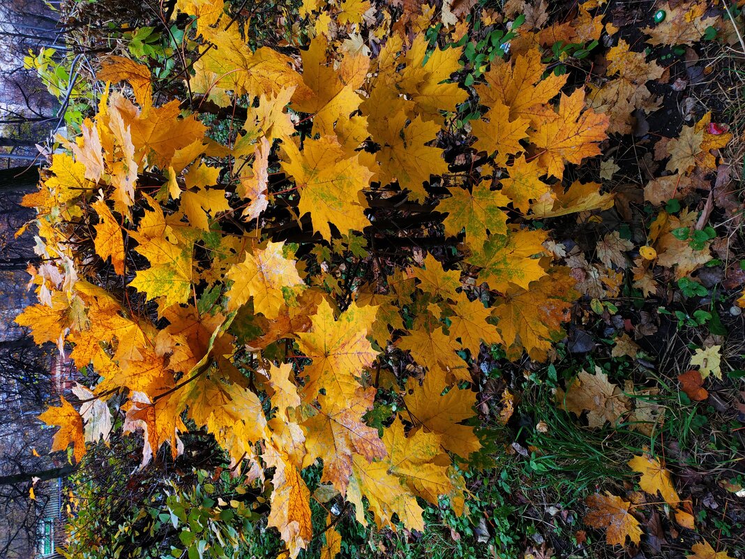 Октябрь как он есть - Андрей Лукьянов