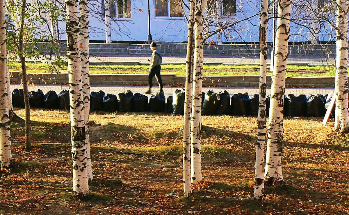 Поздняя осень...На бульваре! - Владимир 