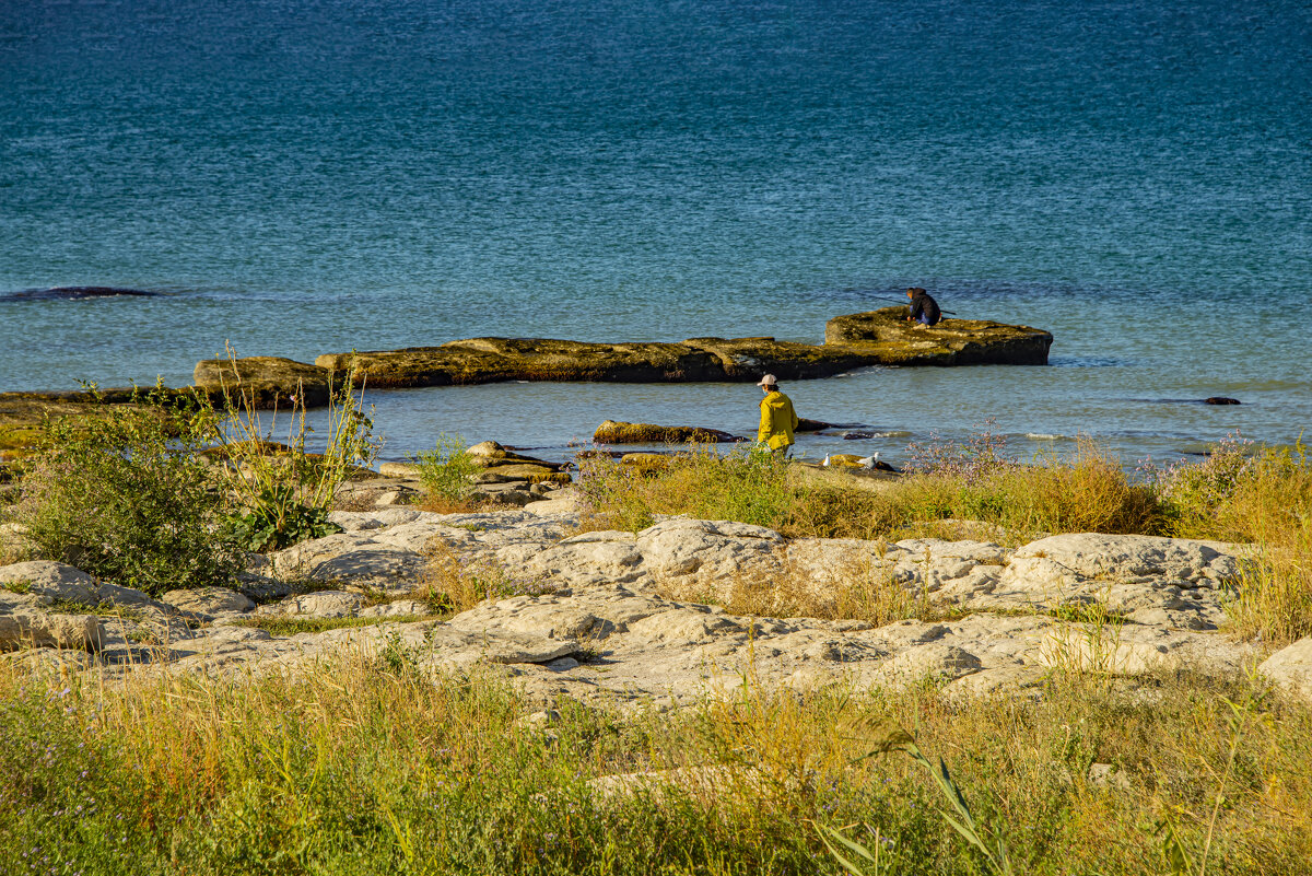 Отмель - Анатолий Чикчирный Отмель - Анатолий Чикчирный