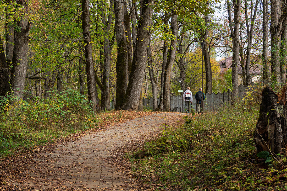 Прогулка по осеннему лесу - Игорь Сикорский