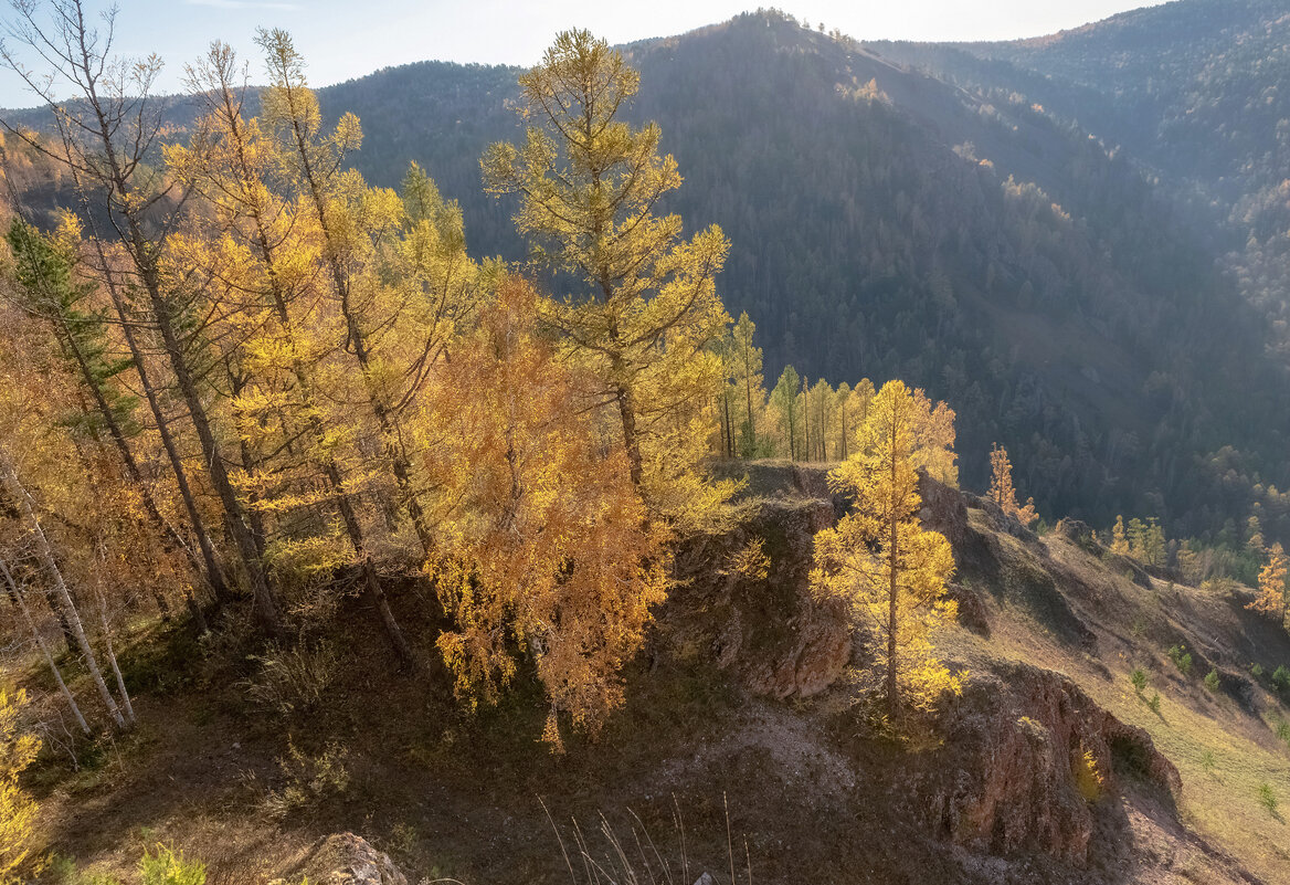 Золотой склон - Марина Фомина.