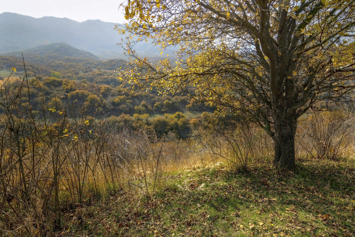 Погожий октябрьский денек - LudMila 