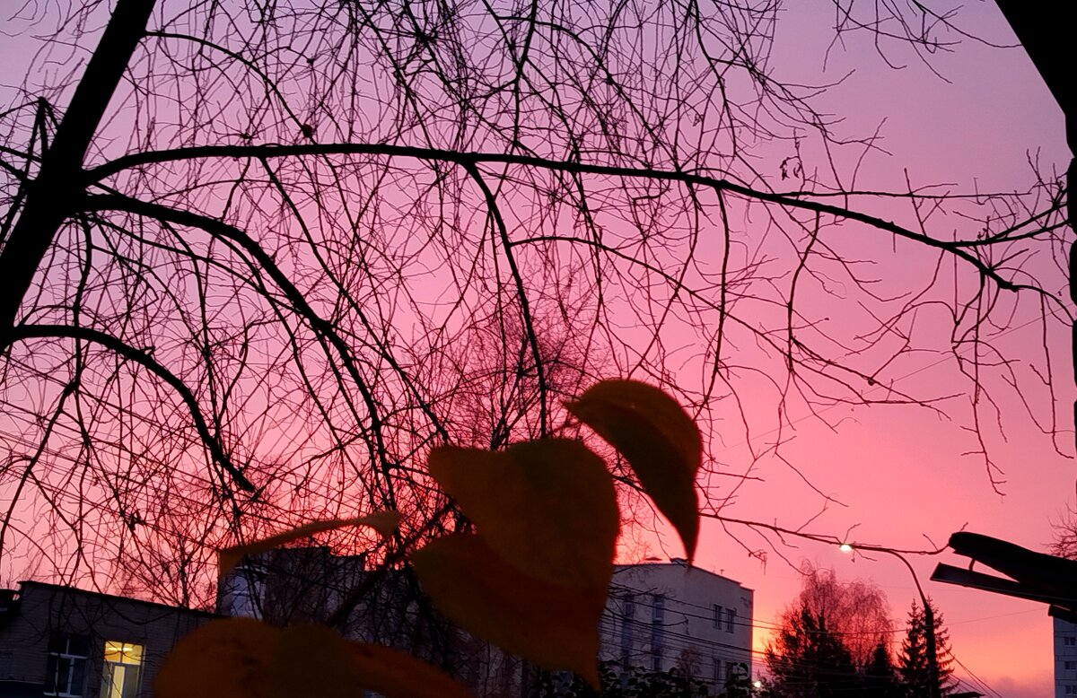 Рассвет - светлана льдокова