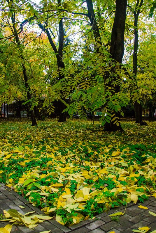 По осеннему - Галина Ложечникова