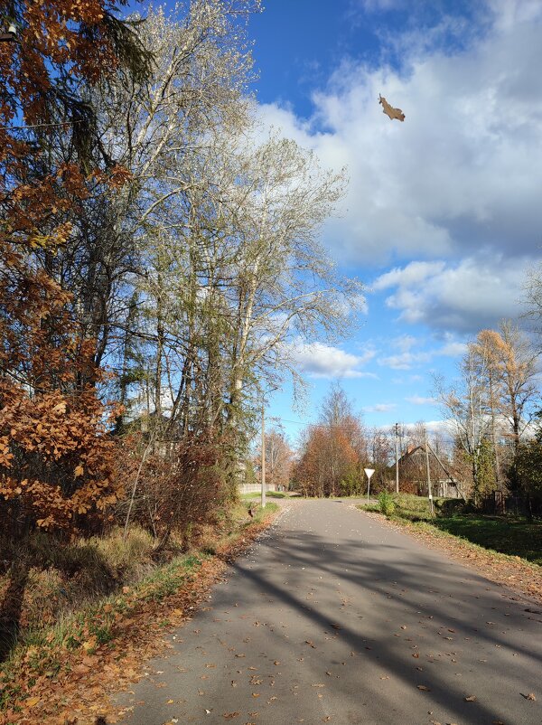 Очей очарование... - Ирина 