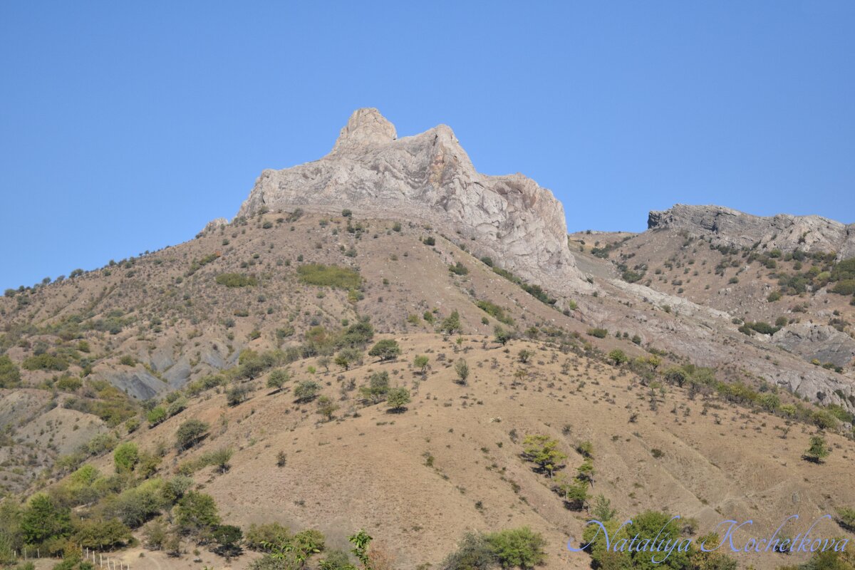 Природа Крыма - Amazing Cosmea