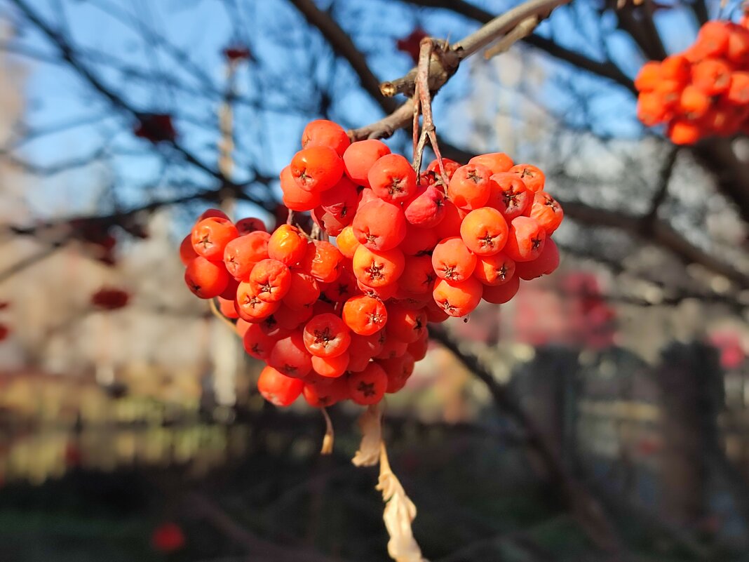Сегодня солнечный день - Валентина Богатко 