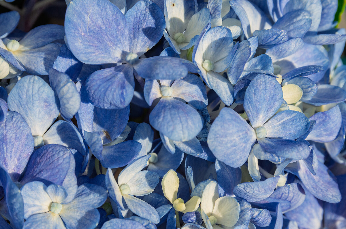 *** - Виктор Иванович Чернюк