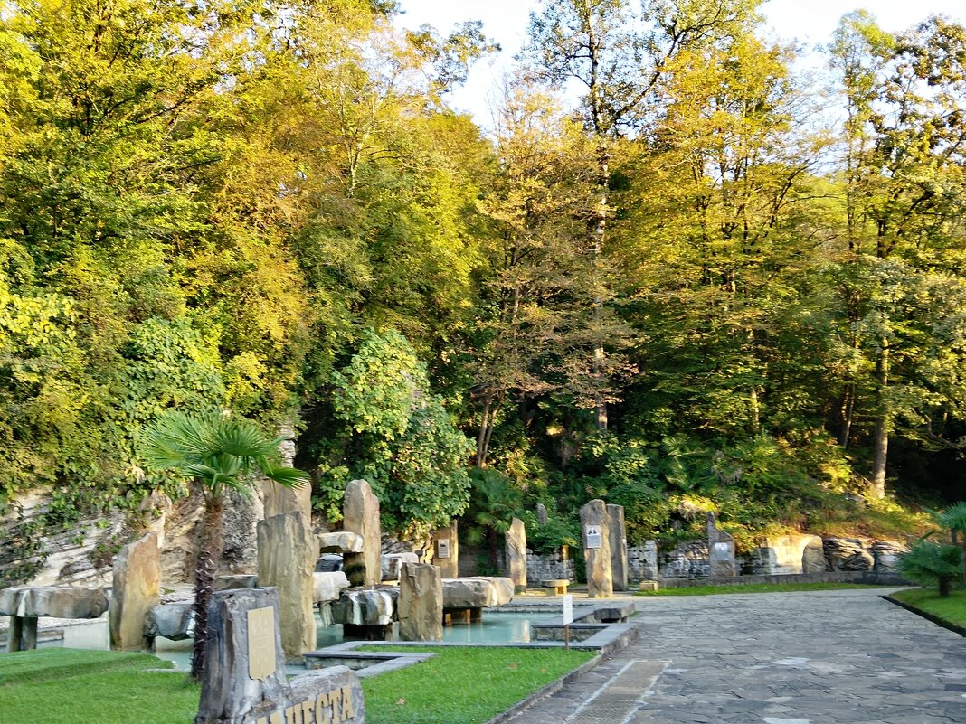 СЕРОВОДОРОДНЫЙ ИСТОЧНИК - Tata Wolf