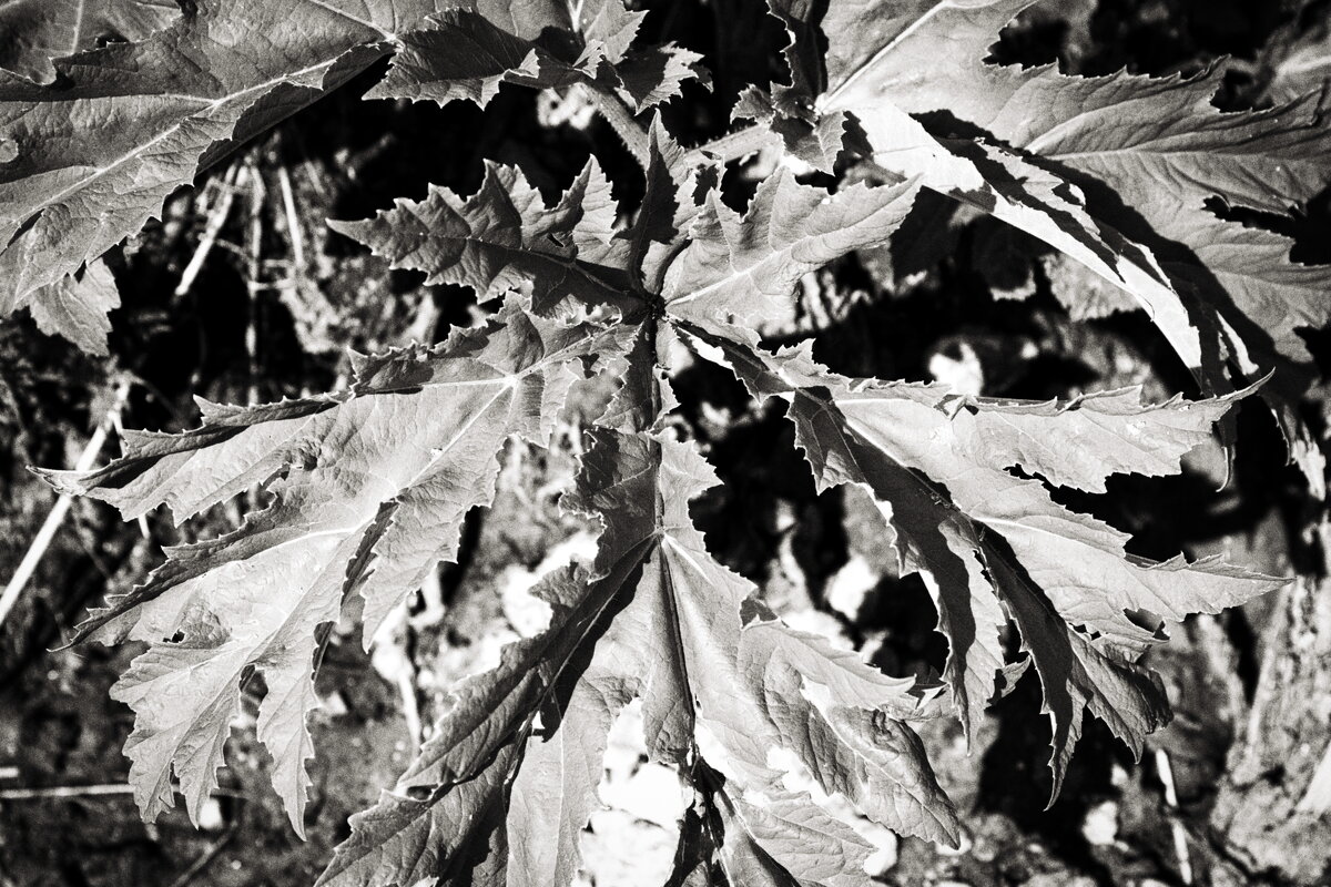 Фотография - Денис Безногов