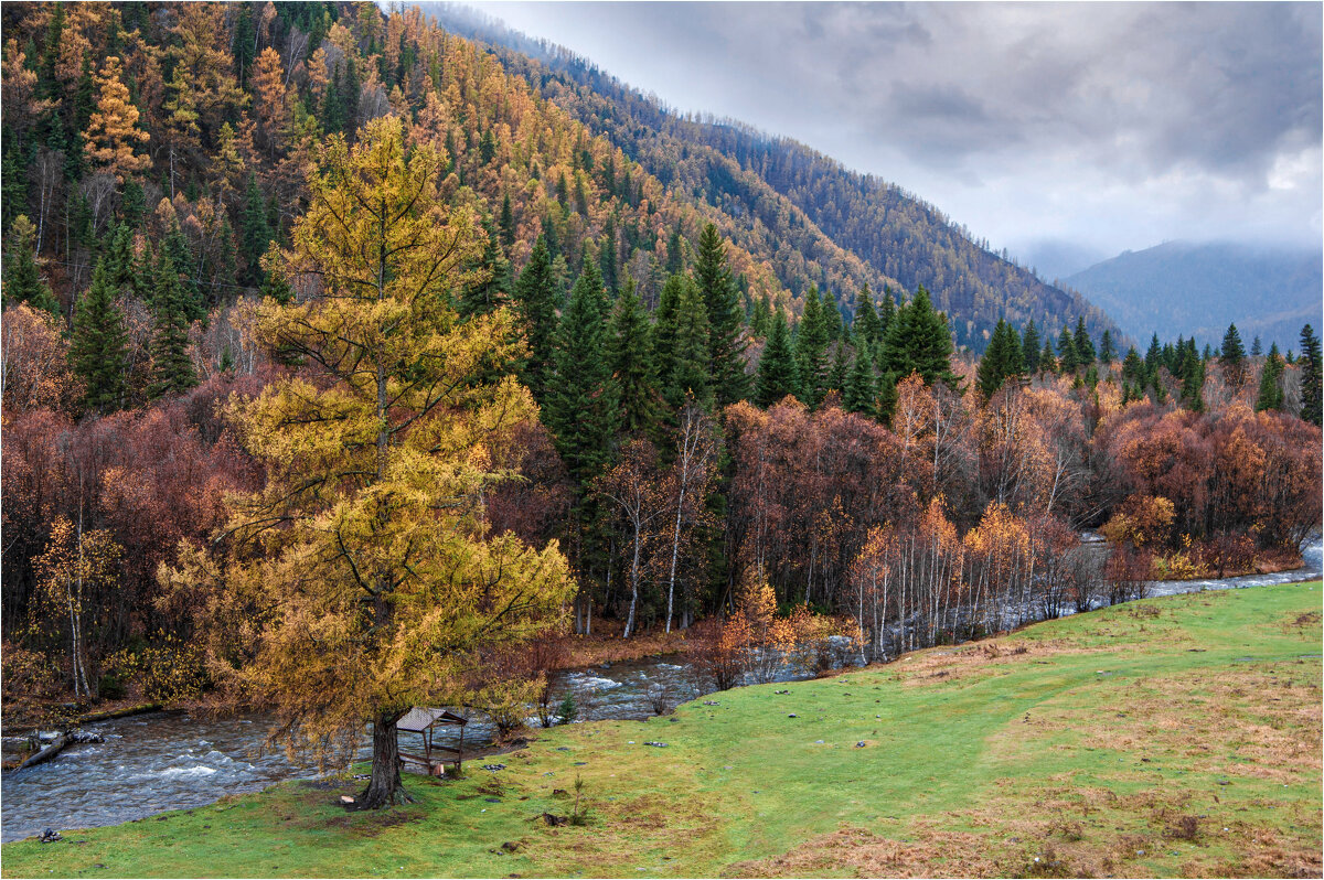 *** - Алексей Мезенцев