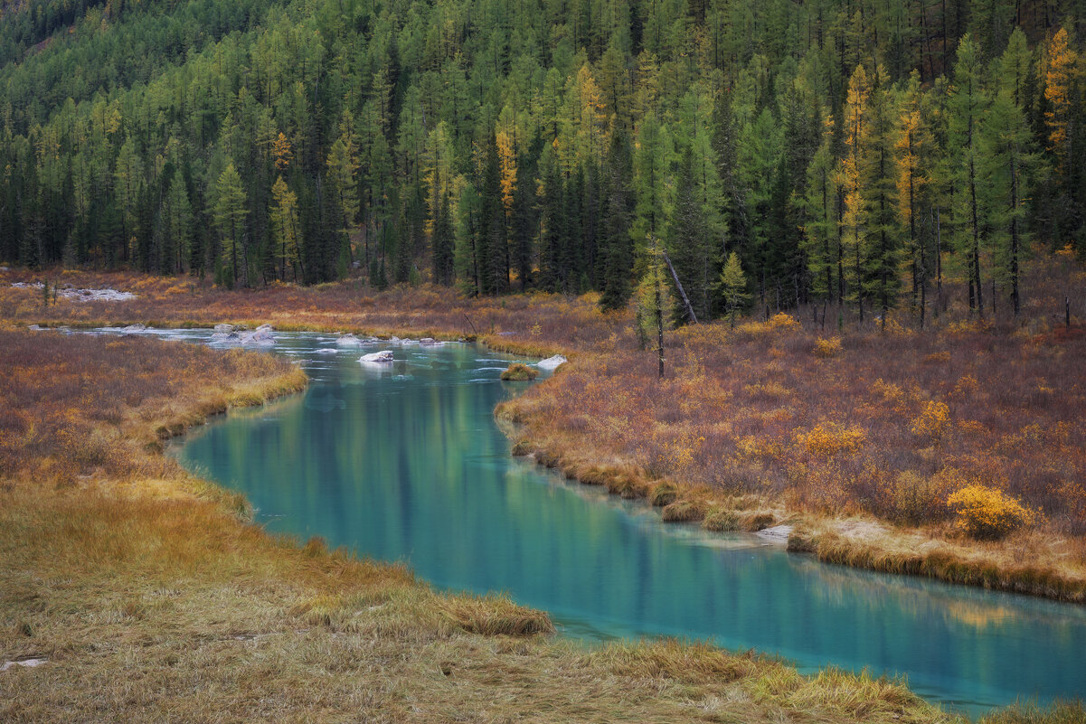* - Александр Иванов