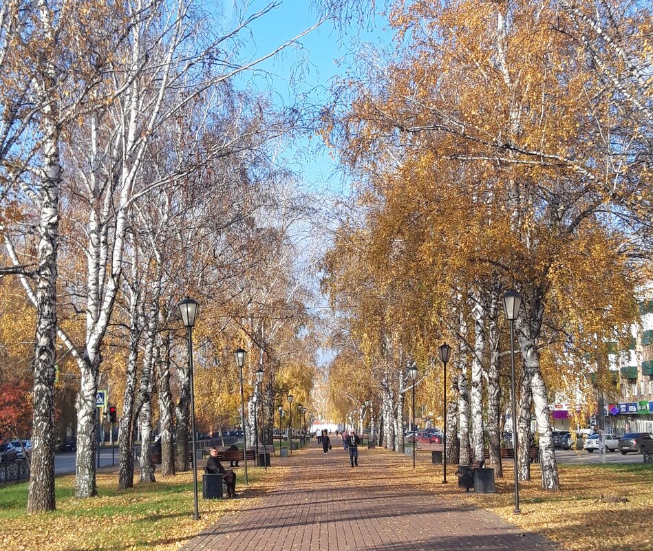 Солнечный день октября - Венера Чуйкова