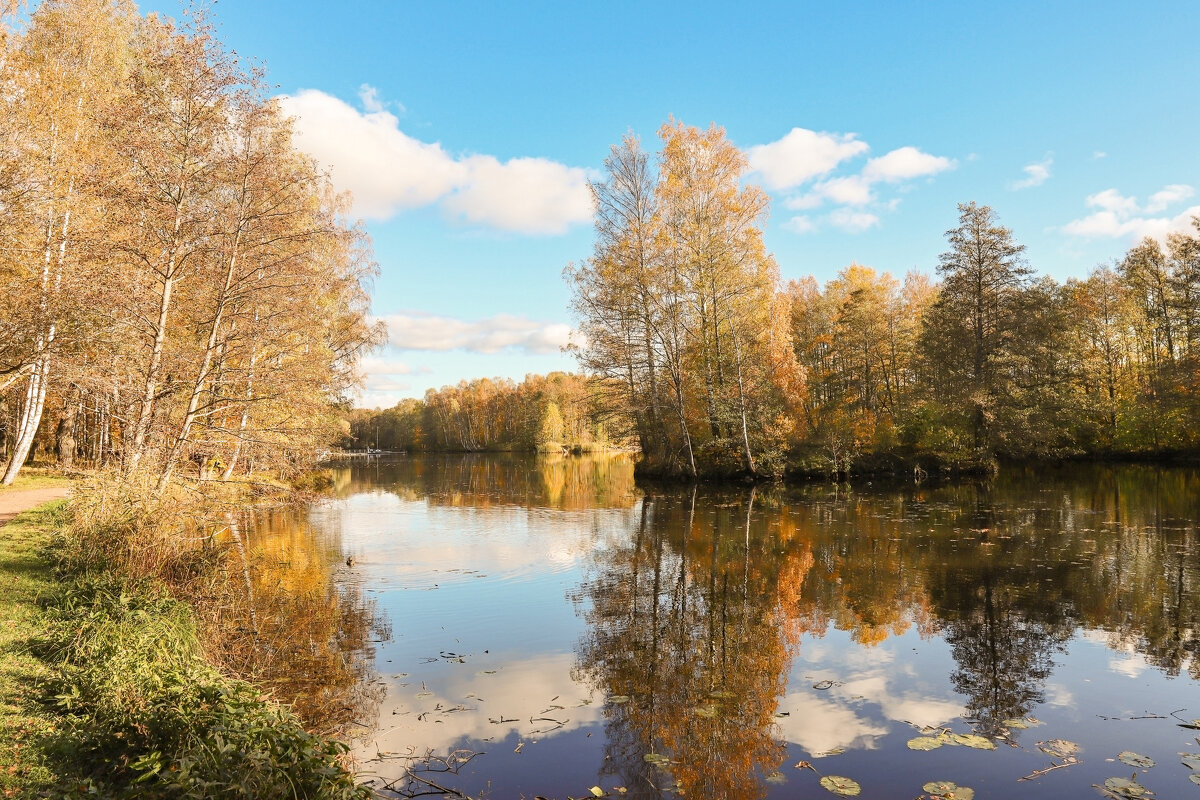 Дубки - skijumper Иванов