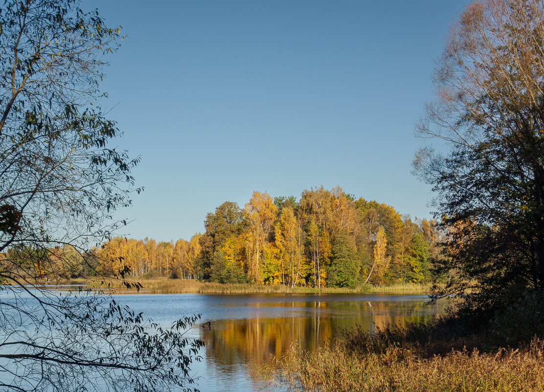 *** - Геннадий Порохов *** - Геннадий Порохов