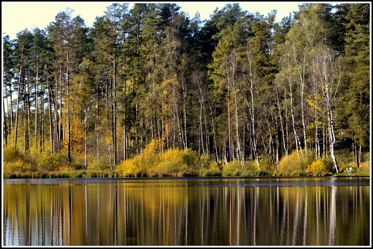 ПИК ОСЕНИ.... - Aleksandr Gal