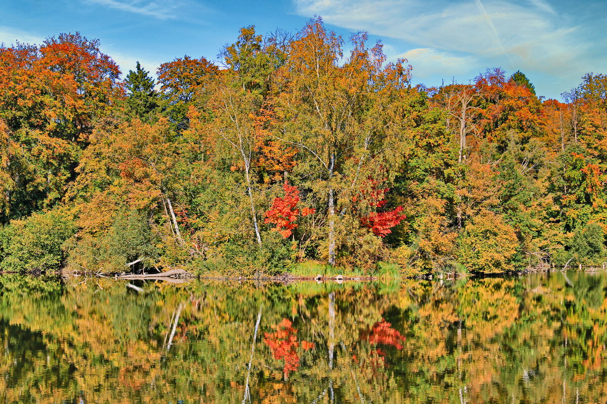 Зеркало осени - Андрей K.
