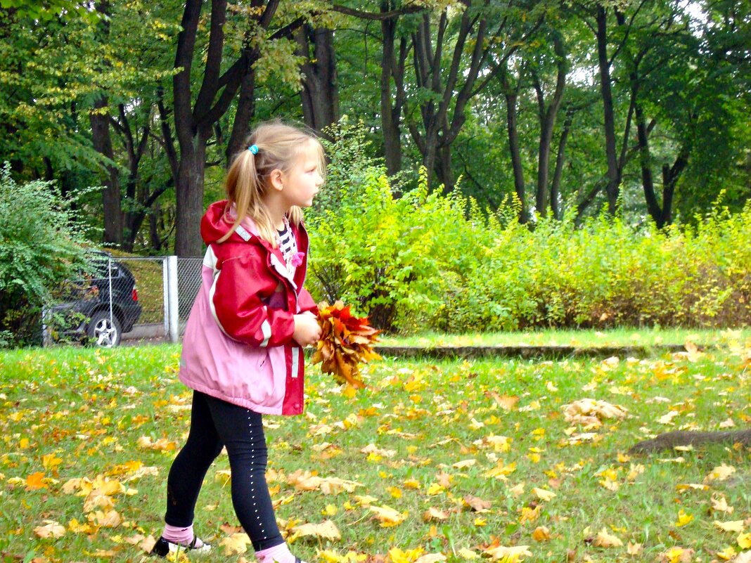 осень - марта Камушкина