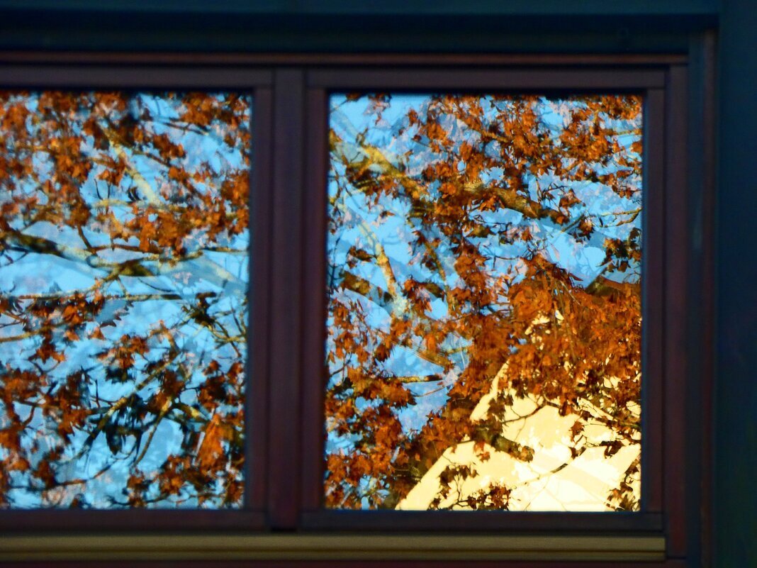 Осень 11 - Алексей Кузнецов