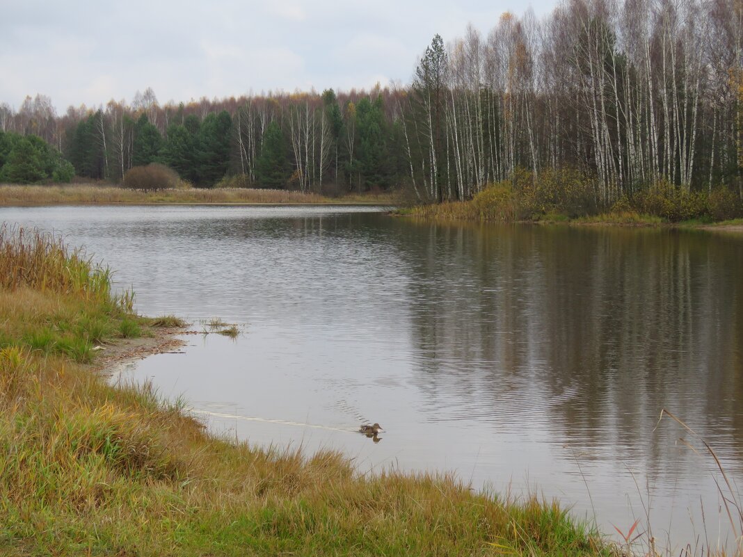 *** - НАТАЛЬЯ 