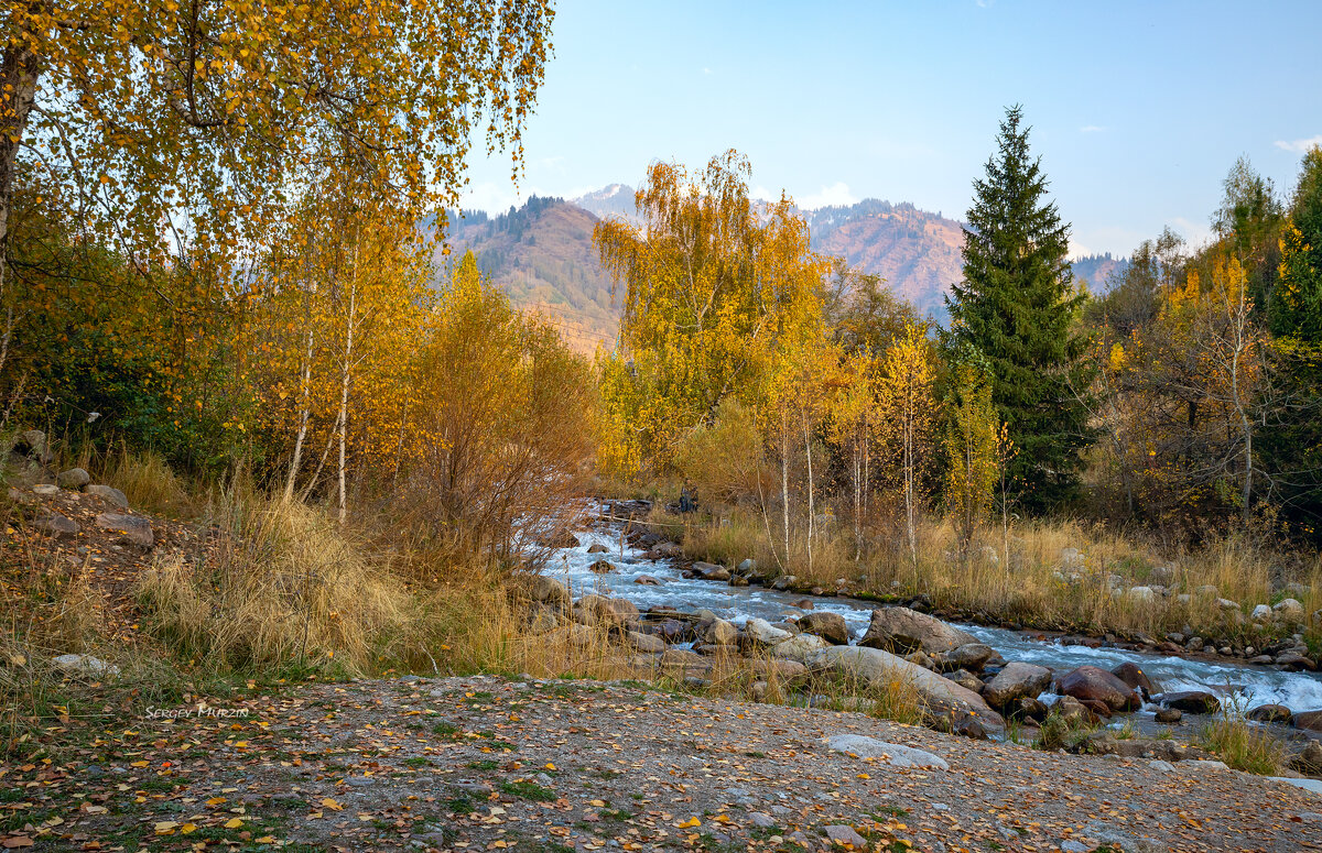 Осень. - Сергей Мурзин