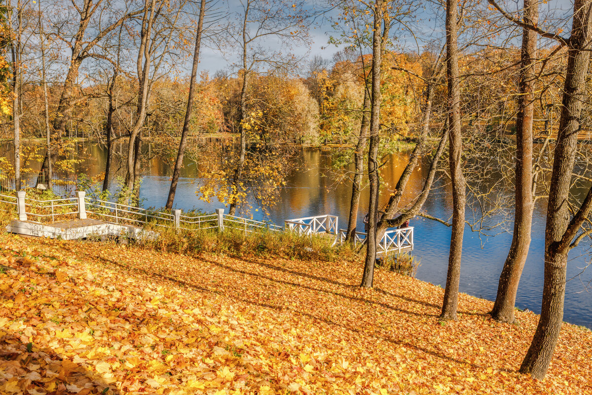 Осень - Владимир Колесников