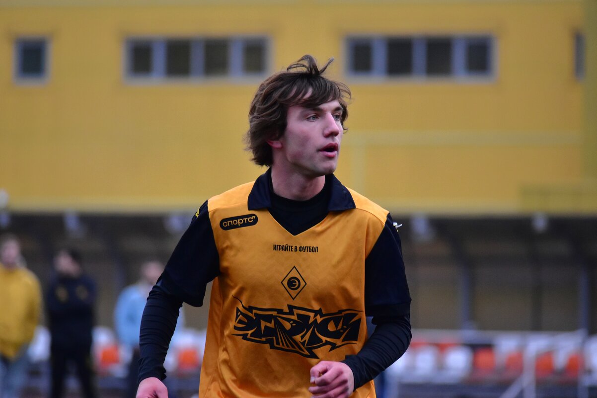 Футбольный портрет - Наталья Вязигина