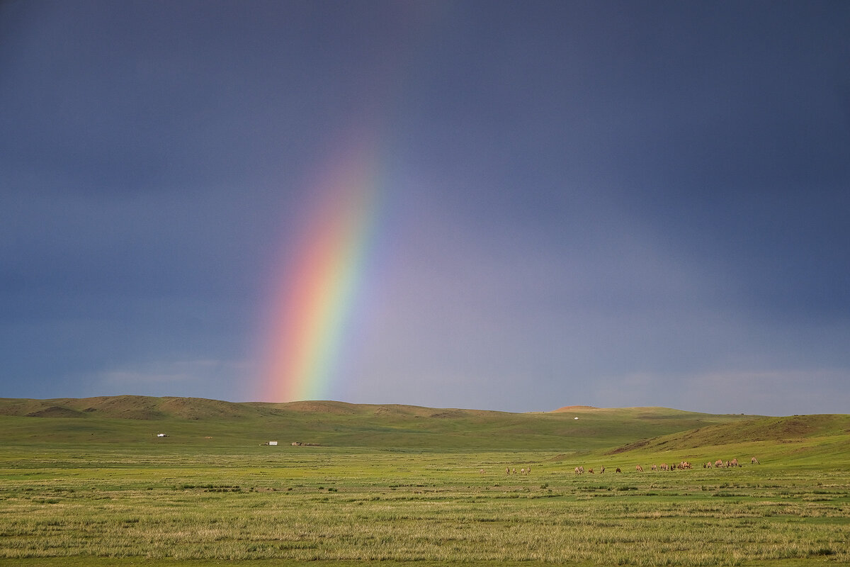 кусочек радуги - Galina 