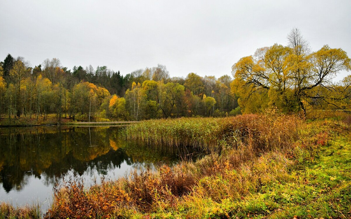 Смоленская область в последней декаде октября. - Милешкин Владимир Алексеевич 
