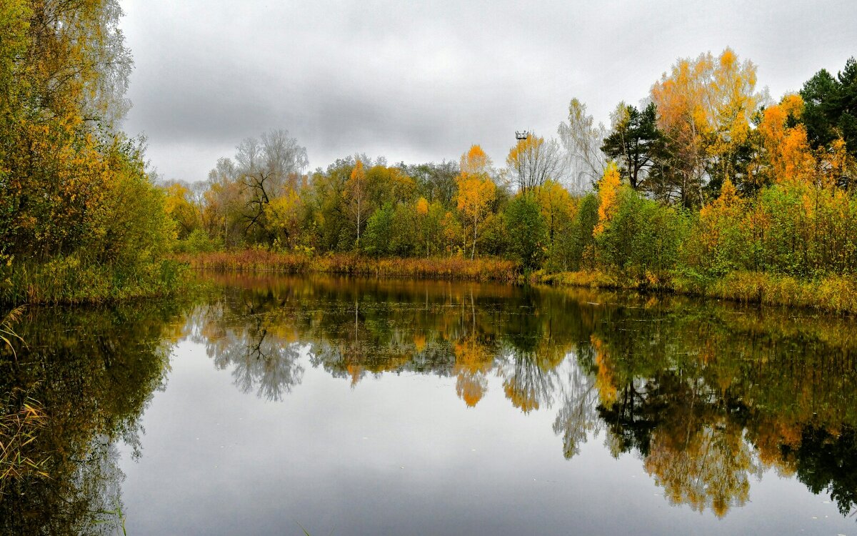 Уголок осенней природы. - Милешкин Владимир Алексеевич 