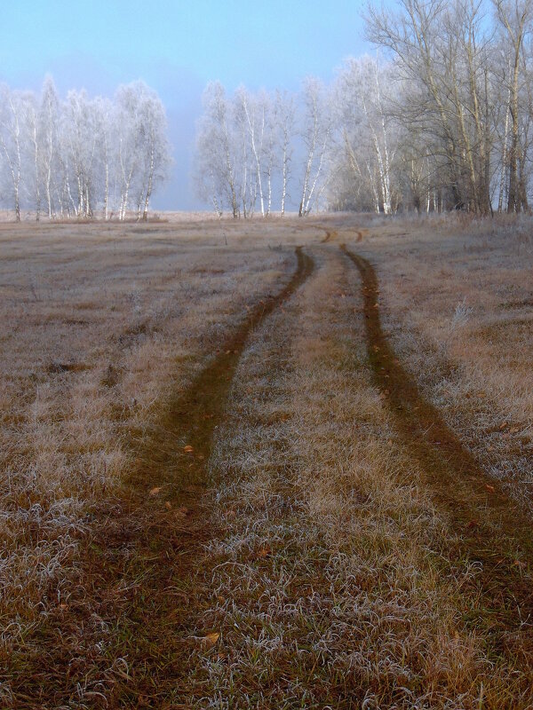 Осеннее утро. - nadyasilyuk Вознюк