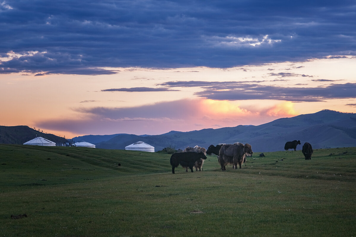 монгольский пейзаж - Galina 