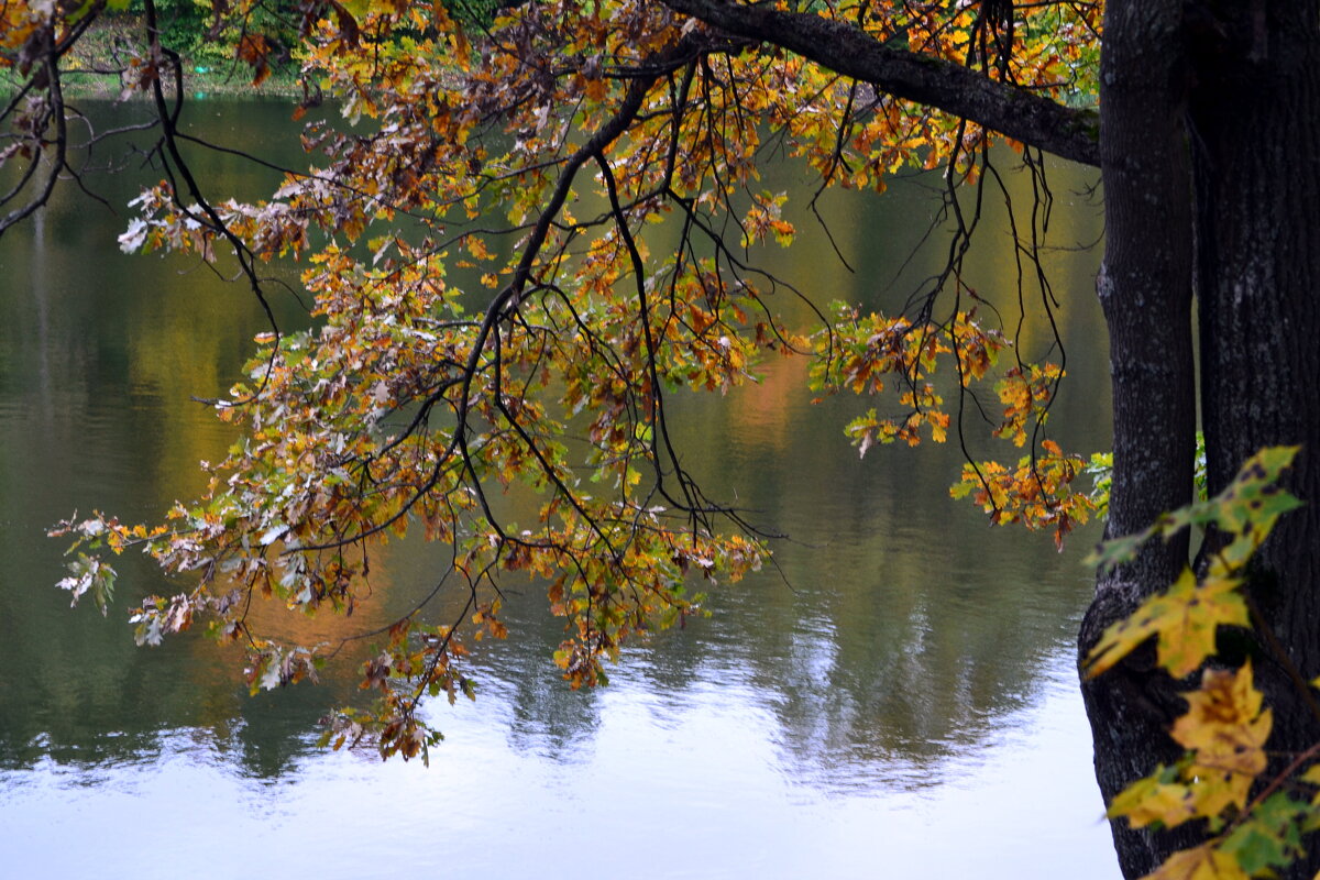 Осень и река - ирина 