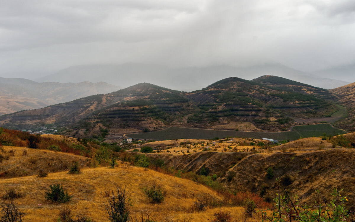 *** - Виталий Емельянов