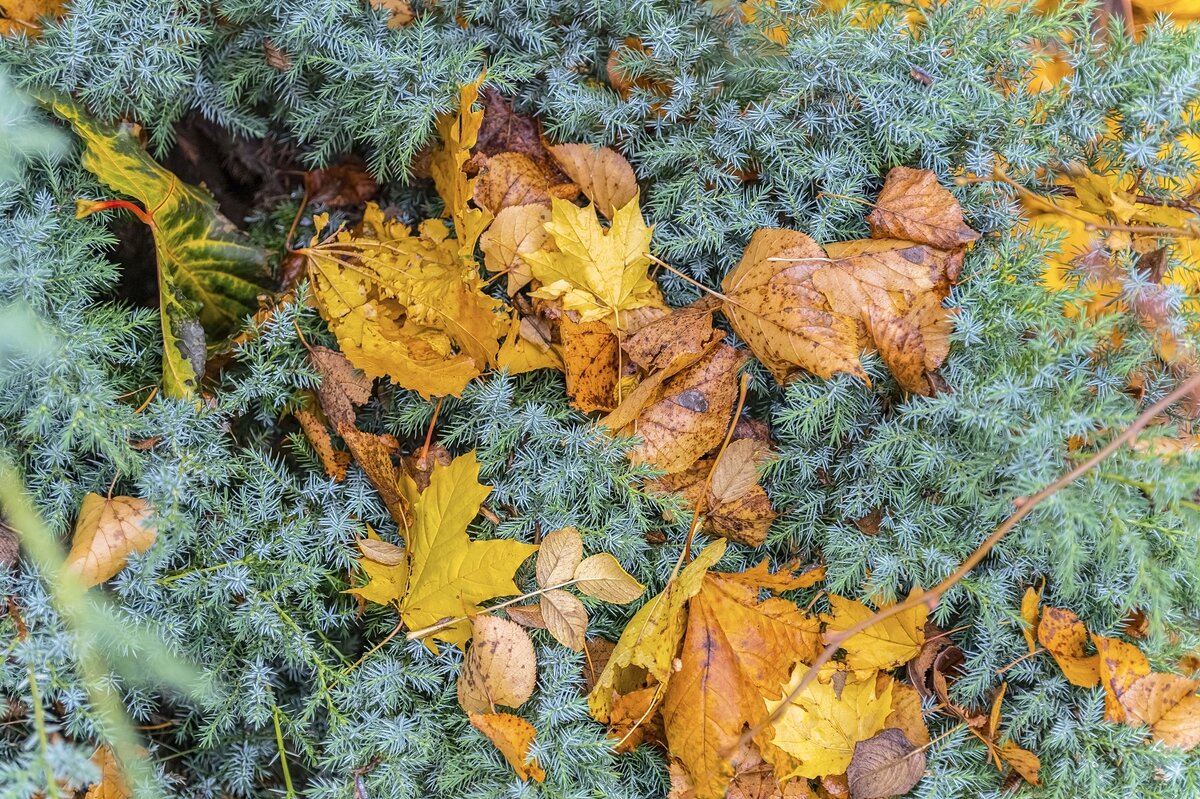 Октябрьские зарисовки - Валерий Иванович