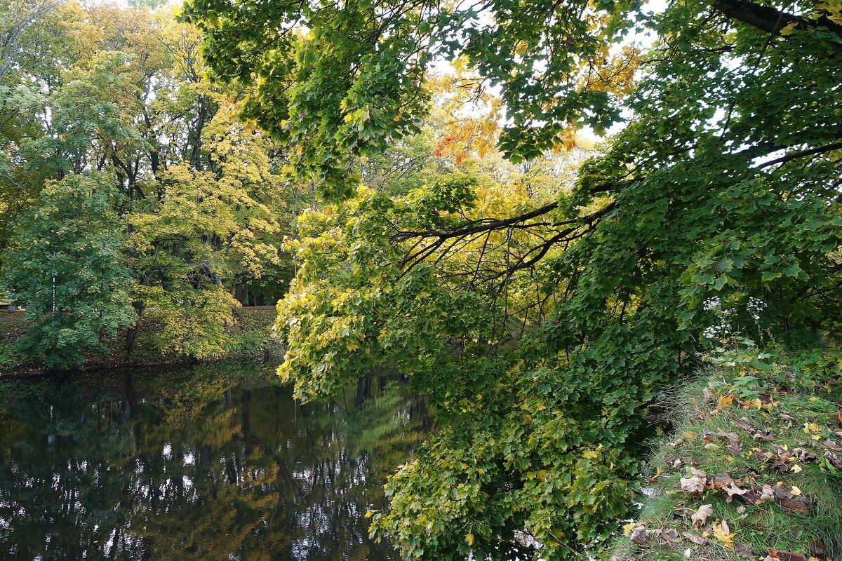 Краски октября - Рита Симонова