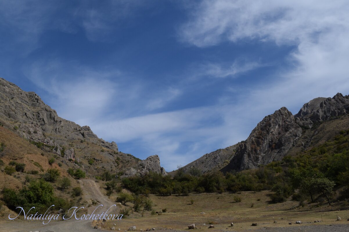 Природа Крыма - Amazing Cosmea