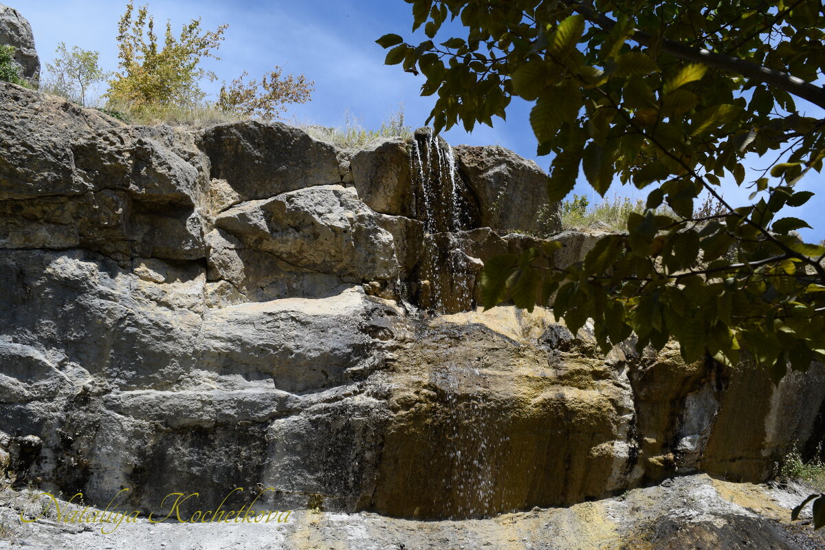 Природа Крыма - Amazing Cosmea