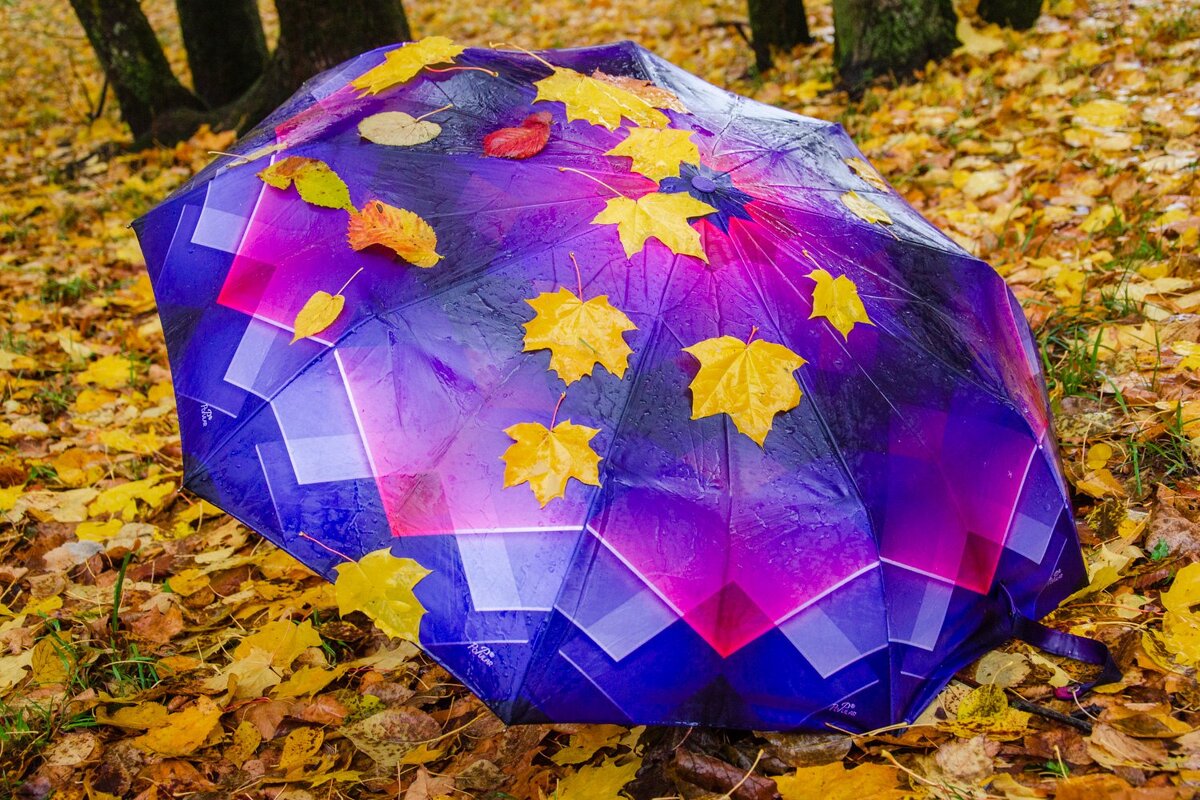 Осенний зонт - Галина Ложечникова