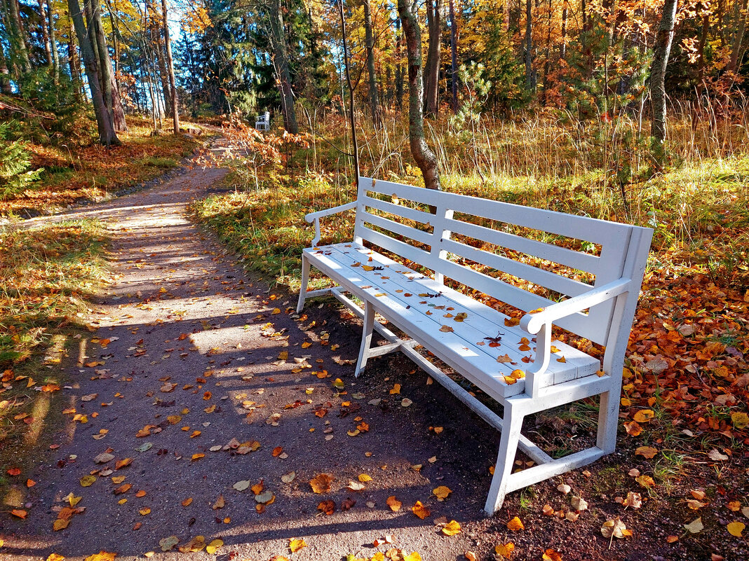 Присядем, осень... - Ирина Румянцева