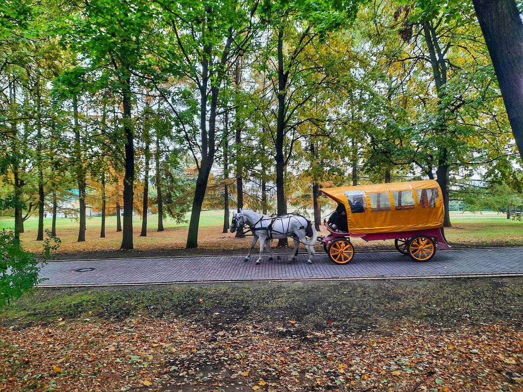 Осень в Коломенском - Irene Irene