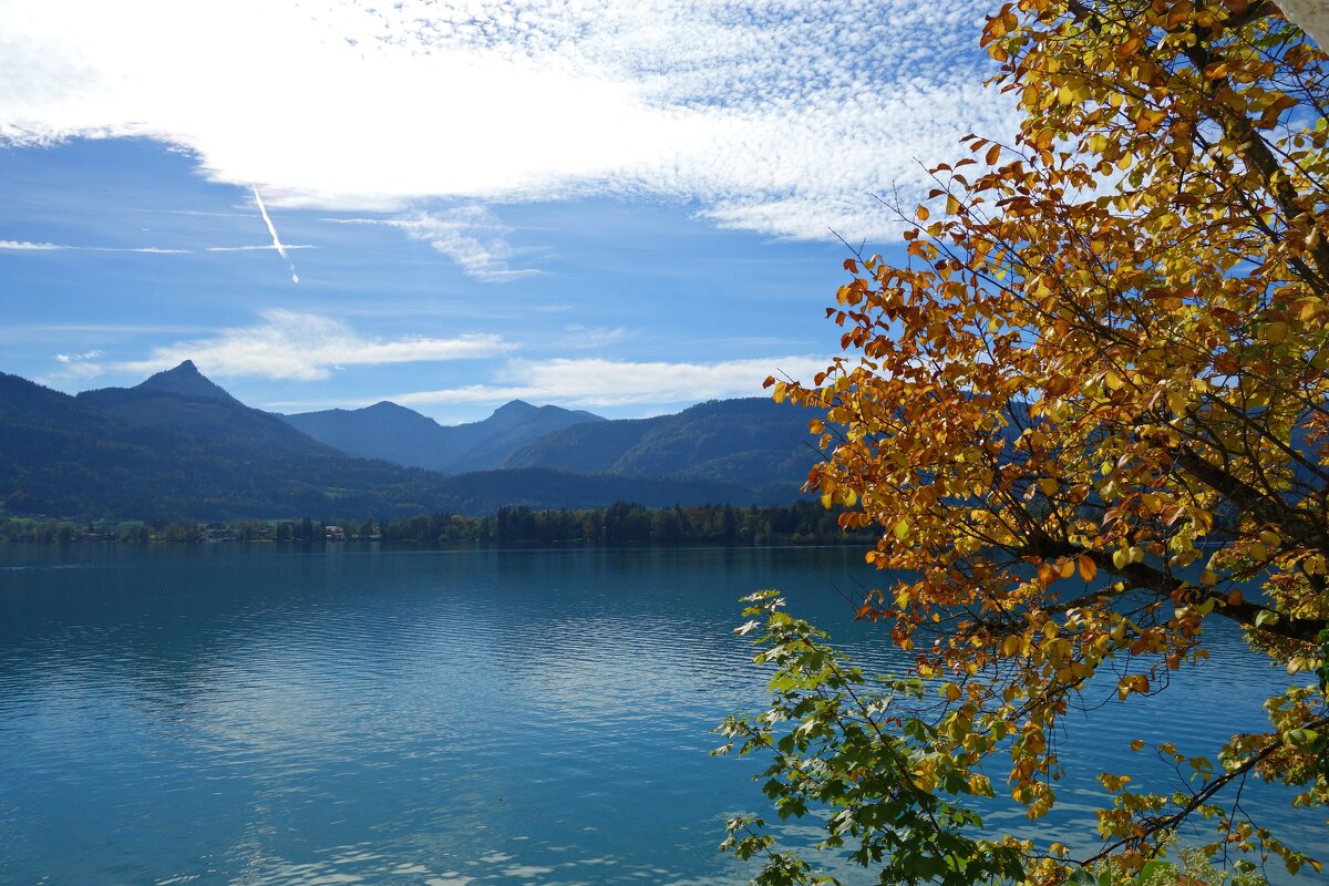 Австрия... - Галина 