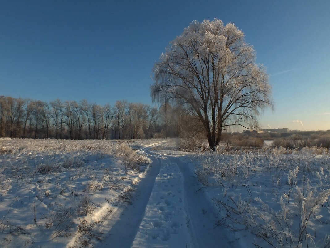 Совсем скоро - Зоя Мишина