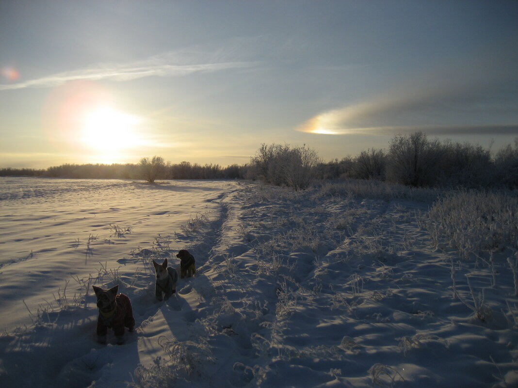 Зима - Anna Ivanova