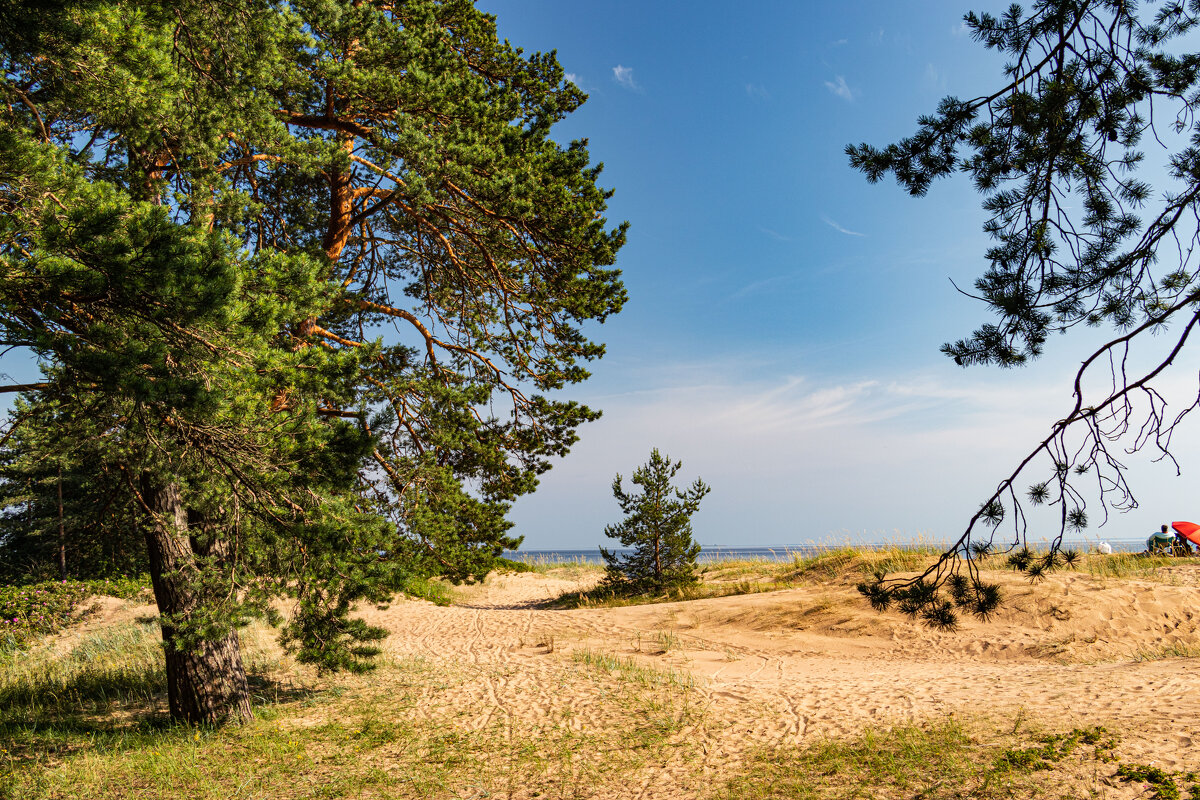 на Финском заливе - navalon M на Финском заливе - navalon M